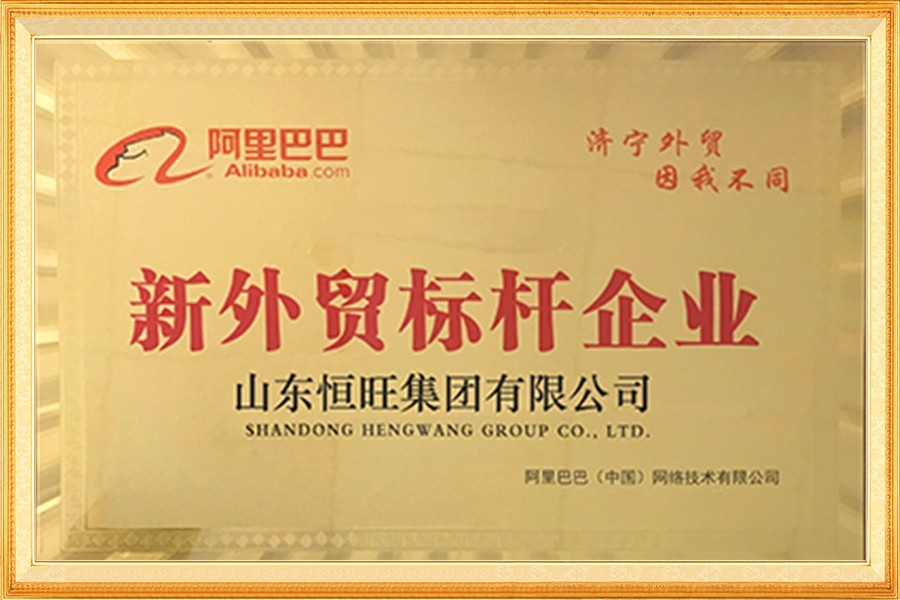 阿裏(li)巴巴新外(wài)貿标杆企(qǐ)業
